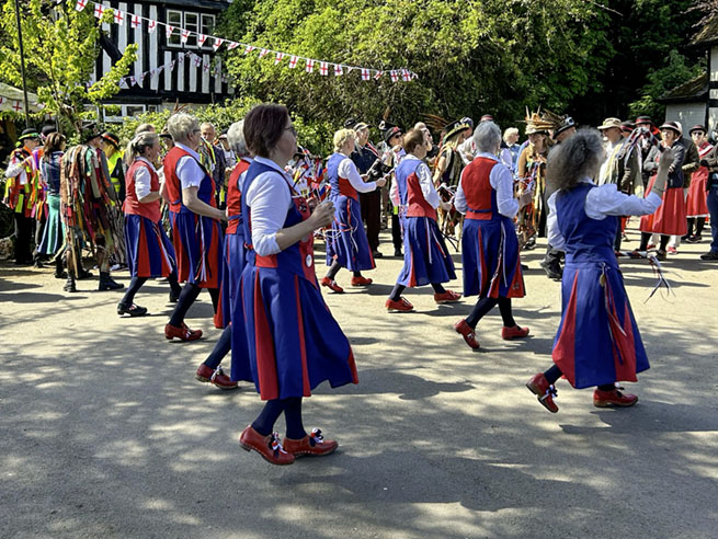 8 nancy butterfly dancers 2 neat lines